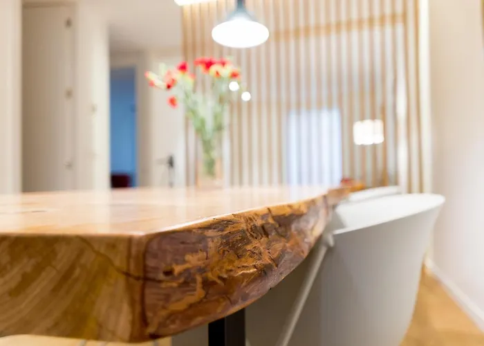 Fermin - Iberorent *