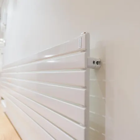 Fermin - Iberorent San Sebastian