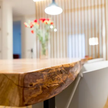 Fermin - Iberorent *