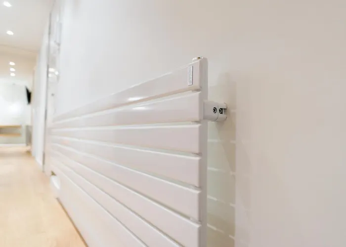 Fermin - Iberorent San Sebastian